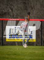 Photo from the gallery "Green Forest @ Flippin"