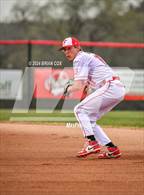 Photo from the gallery "Green Forest @ Flippin"