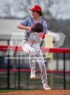Photo from the gallery "Green Forest @ Flippin"
