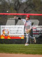 Photo from the gallery "Green Forest @ Flippin"