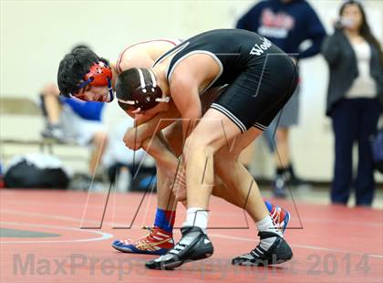 Thumbnail 1 in Placer Duals photogallery.