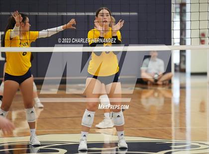 Thumbnail 3 in Covenant Christian @ Allen Academy photogallery.