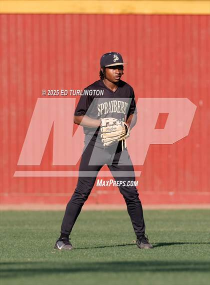 Thumbnail 2 in Sprayberry @ Lassiter photogallery.