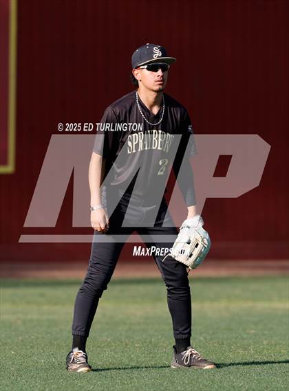 Thumbnail 3 in Sprayberry @ Lassiter photogallery.