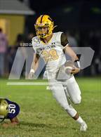 Photo from the gallery "Williams @ Willows"