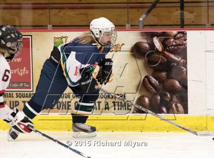 Thumbnail 2 in Berlin vs Bishop Brady/Trinity (NHIAA Semifinal) photogallery.