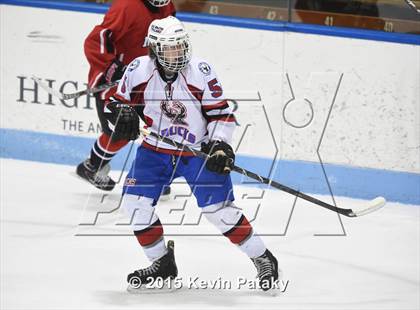 Thumbnail 1 in Masuk vs. E.O. Smith/Tolland (CIAC D3 Final) photogallery.