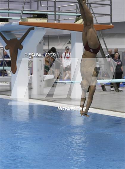 Thumbnail 3 in UIL 5A Swimming and Diving Finals photogallery.