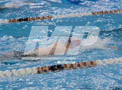 Thumbnail 1 in UIL 5A Swimming and Diving Finals photogallery.