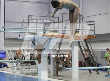 Thumbnail 1 in UIL 5A Swimming and Diving Finals photogallery.