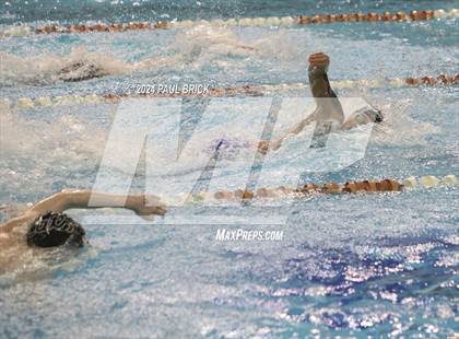 Thumbnail 2 in UIL 5A Swimming and Diving Finals photogallery.