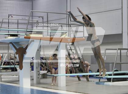Thumbnail 2 in UIL 5A Swimming and Diving Finals photogallery.