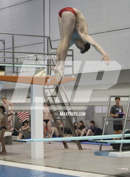 Thumbnail 1 in UIL 5A Swimming and Diving Finals photogallery.