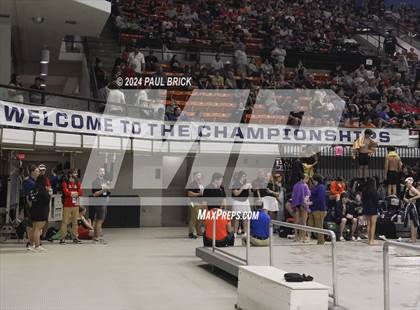 Thumbnail 3 in UIL 5A Swimming and Diving Finals photogallery.