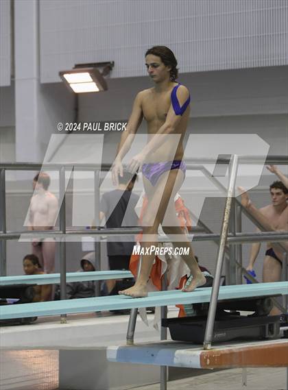 Thumbnail 1 in UIL 5A Swimming and Diving Finals photogallery.
