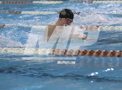 Thumbnail 1 in UIL 5A Swimming and Diving Finals photogallery.