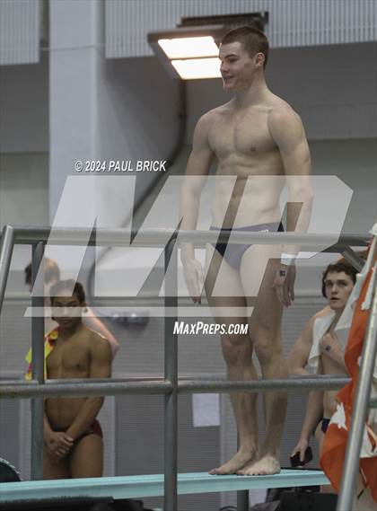 Thumbnail 1 in UIL 5A Swimming and Diving Finals photogallery.