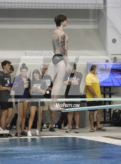 Thumbnail 1 in UIL 5A Swimming and Diving Finals photogallery.