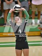 Photo from the gallery "Pendleton Heights @ Yorktown"