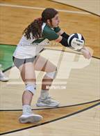Photo from the gallery "Pendleton Heights @ Yorktown"