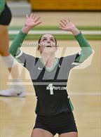 Photo from the gallery "Pendleton Heights @ Yorktown"