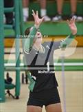 Photo from the gallery "Pendleton Heights @ Yorktown"