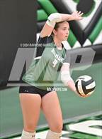 Photo from the gallery "Pendleton Heights @ Yorktown"