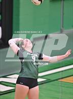 Photo from the gallery "Pendleton Heights @ Yorktown"