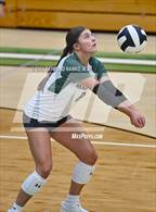 Photo from the gallery "Pendleton Heights @ Yorktown"