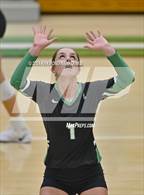 Photo from the gallery "Pendleton Heights @ Yorktown"