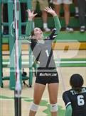 Photo from the gallery "Pendleton Heights @ Yorktown"