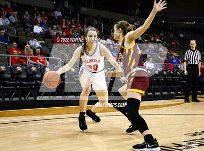 Thumbnail 2 in Cooper vs Dixie (KHSAA 9th Region Semifinal) photogallery.