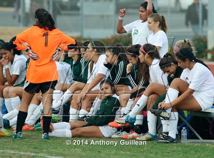 Thumbnail 2 in Tustin vs. Brea Olinda (Ocean View Girls Soccer Tournament) photogallery.