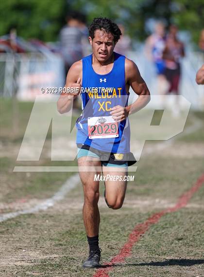 Thumbnail 2 in UIL Cross Country 1A Finals (5K) photogallery.