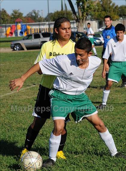Thumbnail 2 in Dixon @ Rio Linda photogallery.