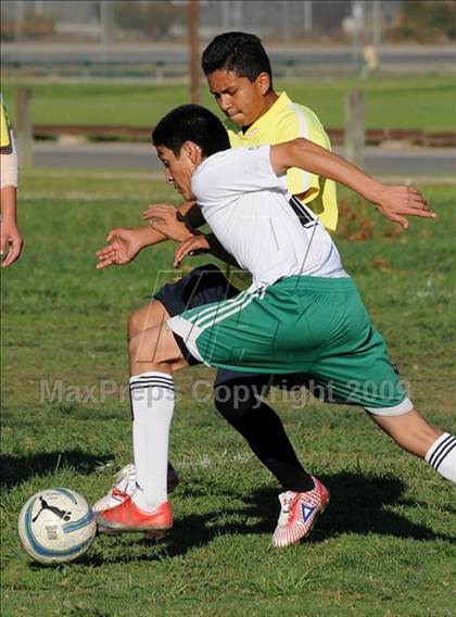 Thumbnail 2 in Dixon @ Rio Linda photogallery.