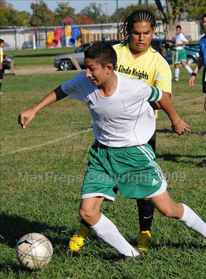 Thumbnail 3 in Dixon @ Rio Linda photogallery.