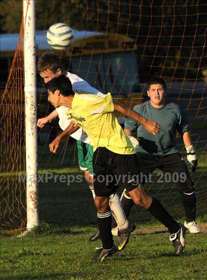 Thumbnail 2 in Dixon @ Rio Linda photogallery.