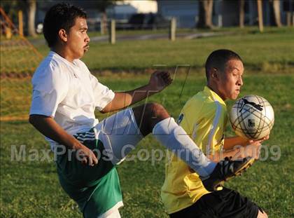Thumbnail 1 in Dixon @ Rio Linda photogallery.