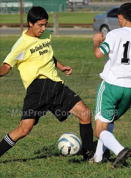 Thumbnail 2 in Dixon @ Rio Linda photogallery.