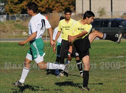 Thumbnail 1 in Dixon @ Rio Linda photogallery.
