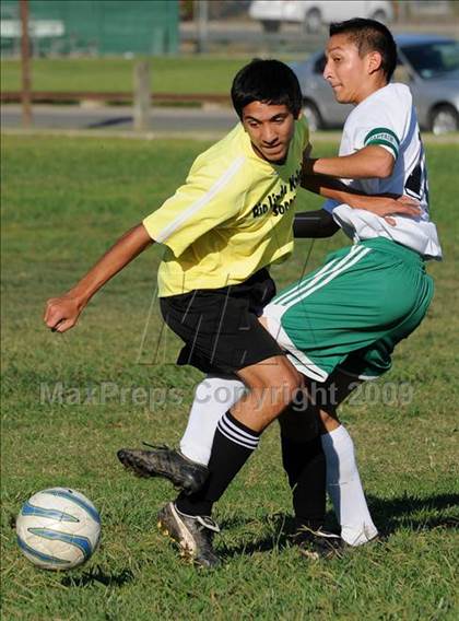 Thumbnail 3 in Dixon @ Rio Linda photogallery.
