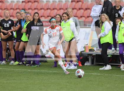 Thumbnail 1 in Skyridge vs. Riverton (UHSAA 6A Final) photogallery.