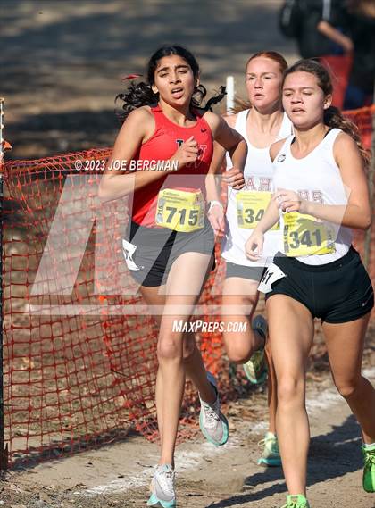 Thumbnail 1 in CIF Division 4 Championships photogallery.