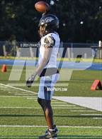 Photo from the gallery "Plant @ Sumner"