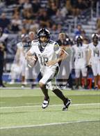 Photo from the gallery "Plant @ Sumner"