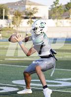 Photo from the gallery "Plant @ Sumner"