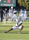 Photo from the gallery "Plant @ Sumner"