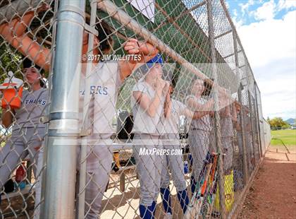 Thumbnail 3 in Casteel vs. Paradise Honors (Chandler Prep Softball Classic) photogallery.