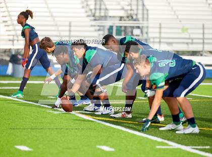Thumbnail 1 in Spoto @ Sumner photogallery.